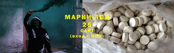 СК Алексин